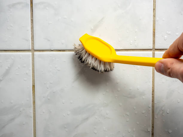 Certified Mold Removal in Buellton, CA