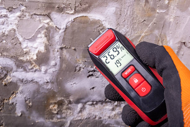 Best Mold Cleaning Services  in Buellton, CA