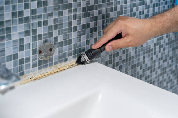 Best Crawl Space Mold Removal  in Buellton, CA