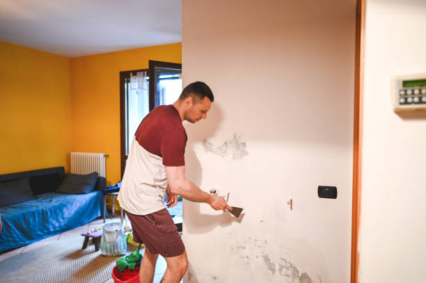 Best Certified Mold Removal  in Buellton, CA