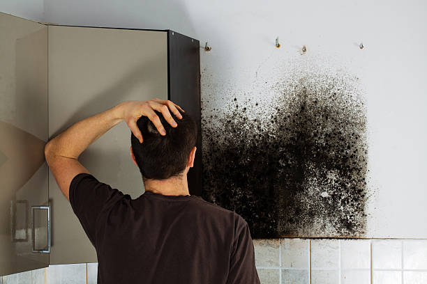 Best Mold Removal Process  in Buellton, CA