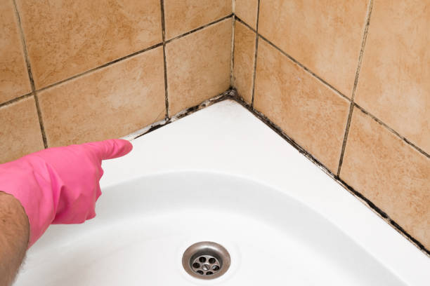 Best Mold Remediation Services  in Buellton, CA